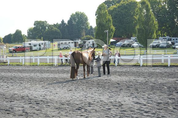 PD1_5587