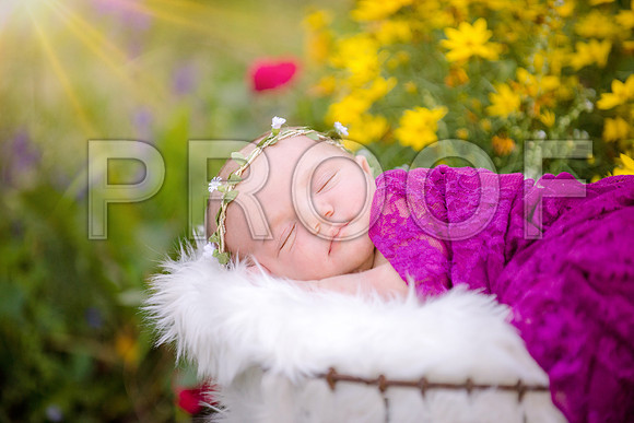 JD2_1302A