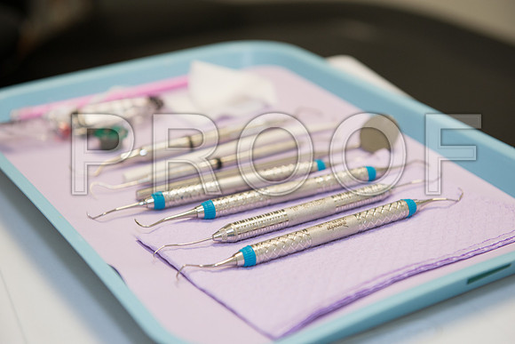 PD4_1829