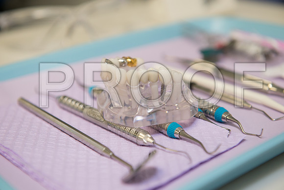 PD4_1836