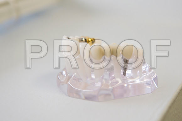 PD4_1839