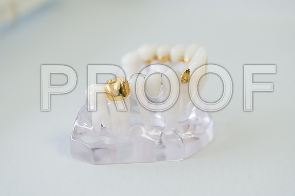 PD4_1840