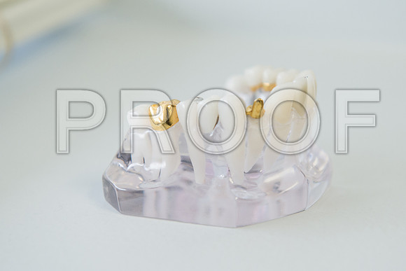 PD4_1841