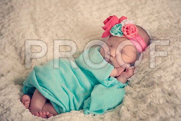 PD4_2031A