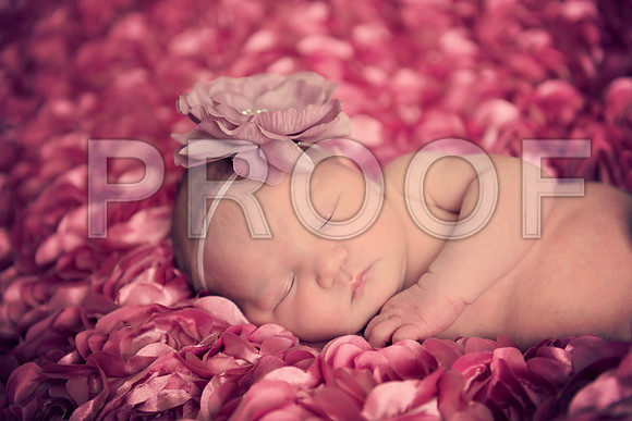 PD4_2039A