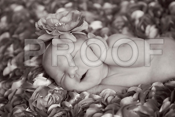 PD4_2046A
