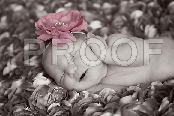 PD4_2046B