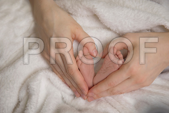 PD4_2051