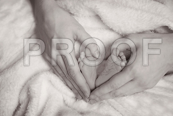 PD4_2051A