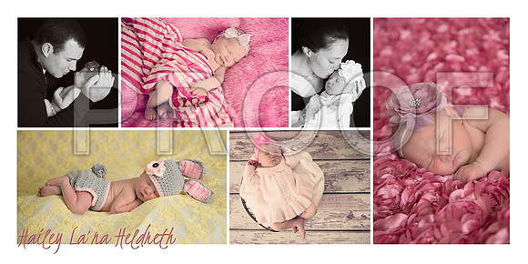 collage 3
