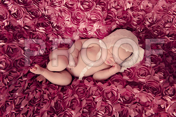 PD1_8334A