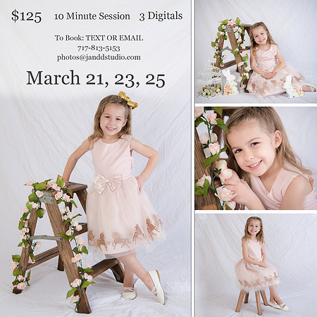 Spring mini 2023