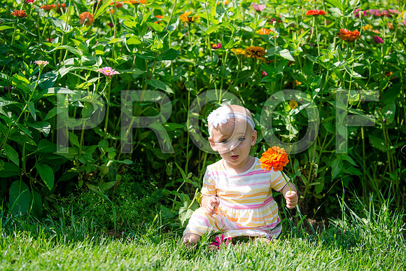 JD3_9285
