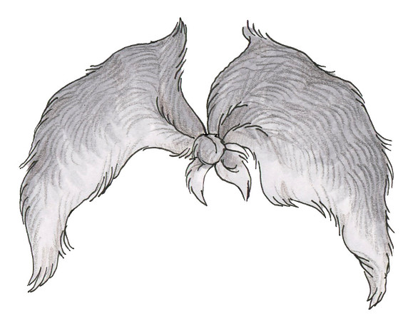 AnimalFur