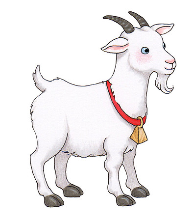 Goat