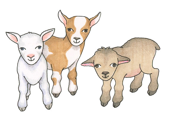 GoatKids