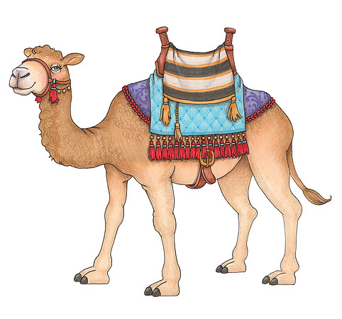 Camel