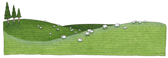Fields