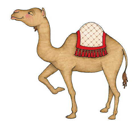 Camel1