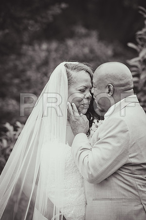 JD5_6949