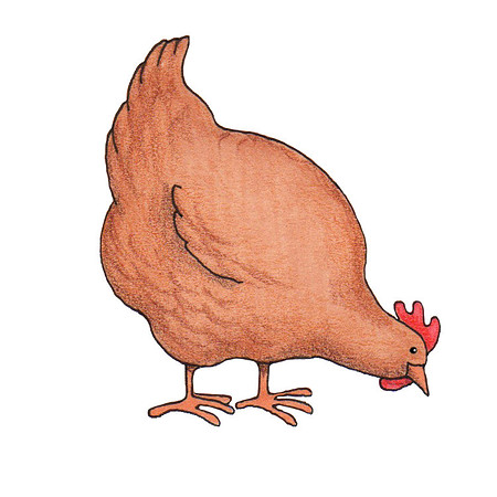 Chicken2