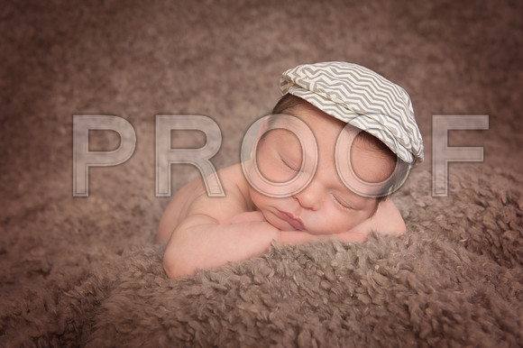 PD1_7338A