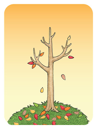 Autumn