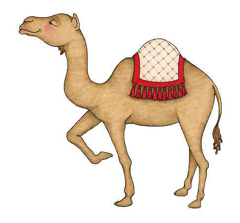 Camel1