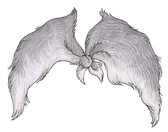 AnimalFur