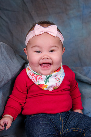 Herlim_Plumeria