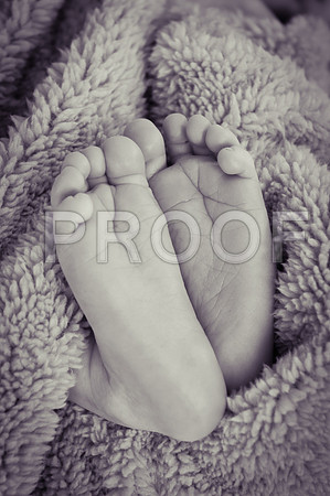 PD1_7264