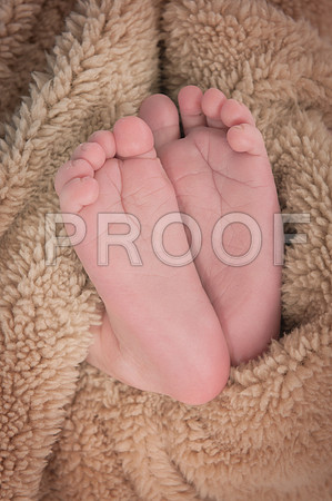 PD1_7263