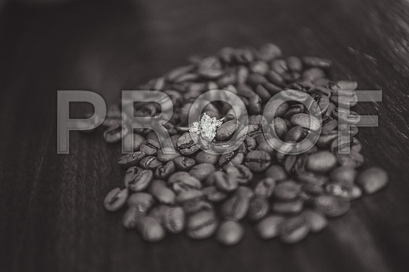 JD4_8696