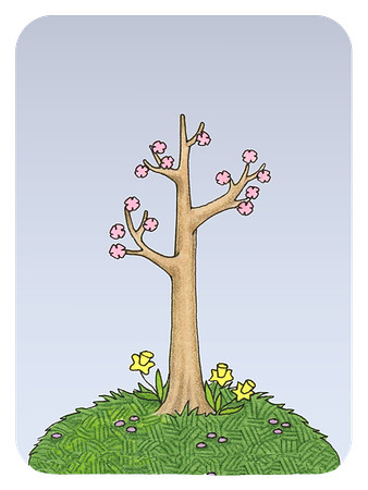 Spring