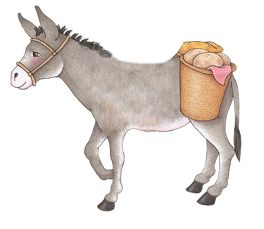 Donkey