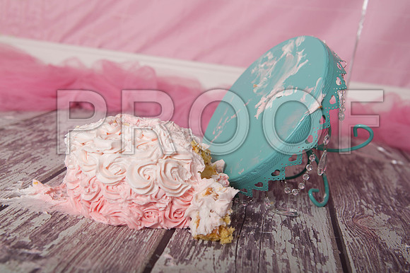 PD1_0793