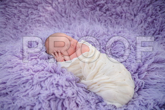 PD3_8560
