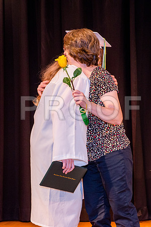 PD3_4917