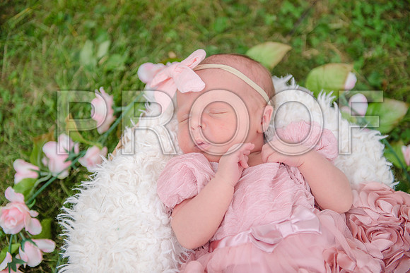 PD3_8472