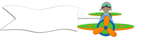 Aviators Flag