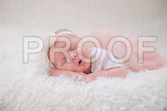 PD3_8515