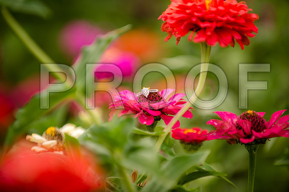 JD3_3568