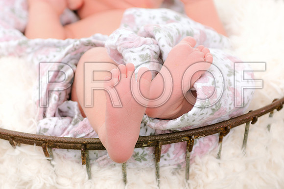 PD3_8652