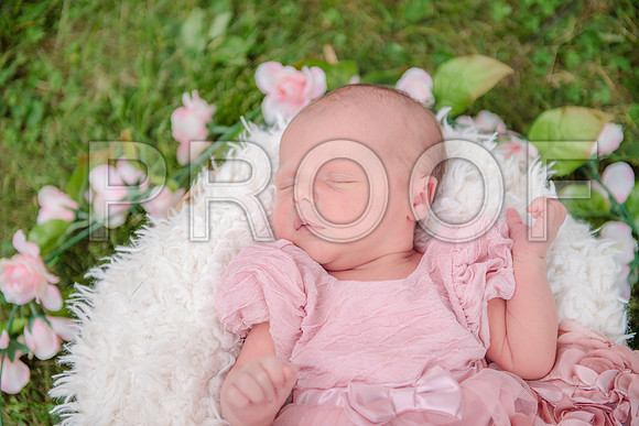 PD3_8482