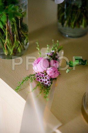PD3_8417
