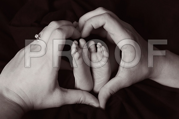 PD1_8256A