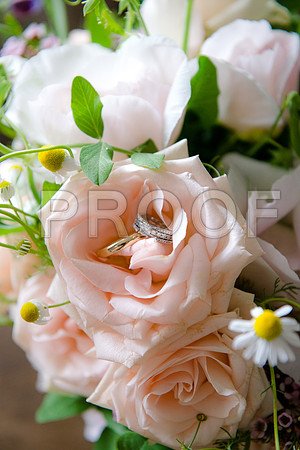PD3_8438