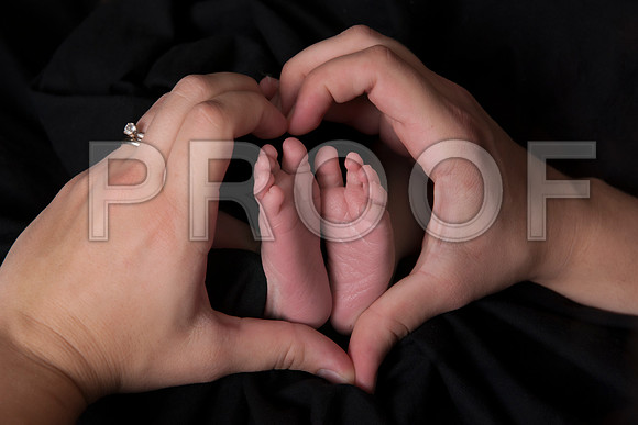 PD1_8256
