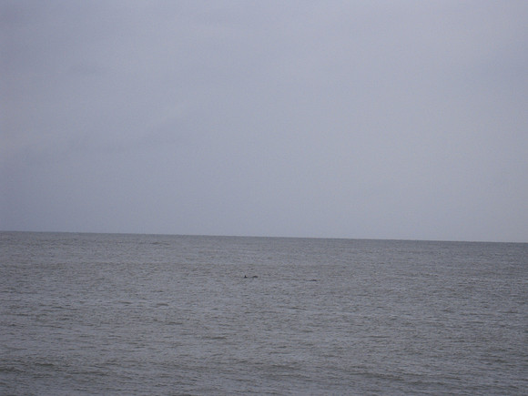 PIX 2009 022
