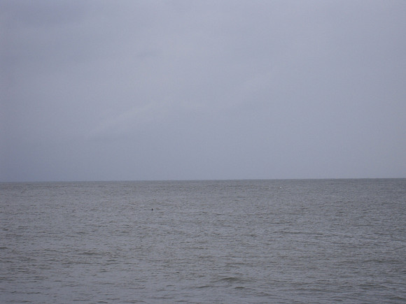 PIX 2009 021